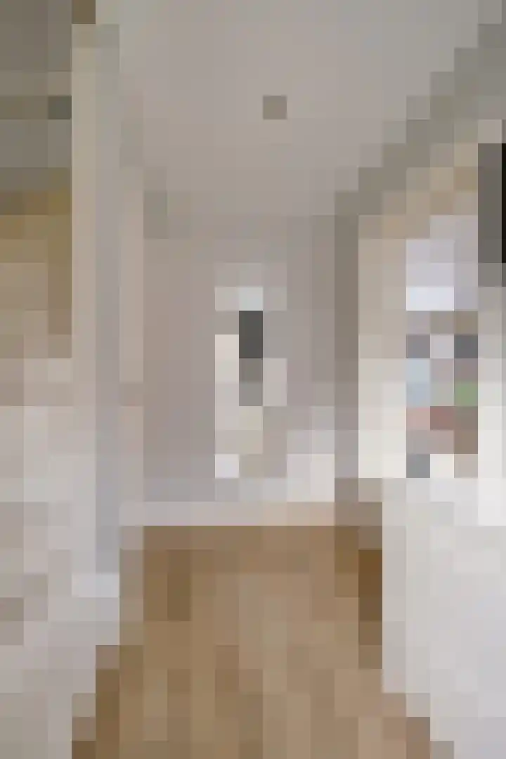 Kraatsweg 37 Ede thumbnail 15