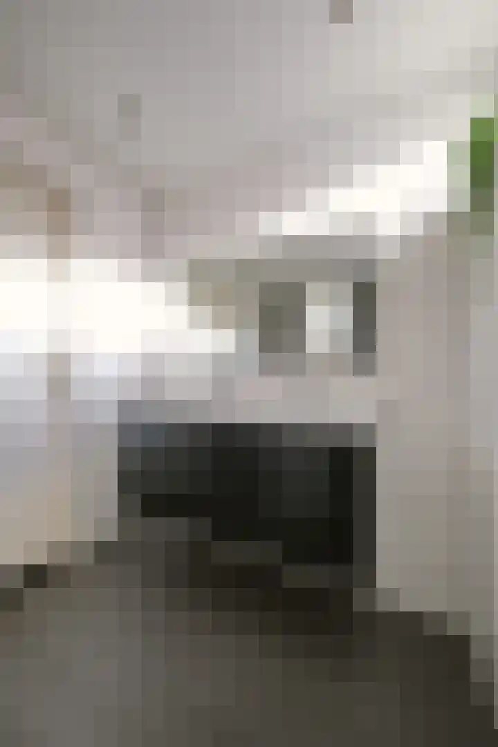 Kraatsweg 37 Ede thumbnail 25