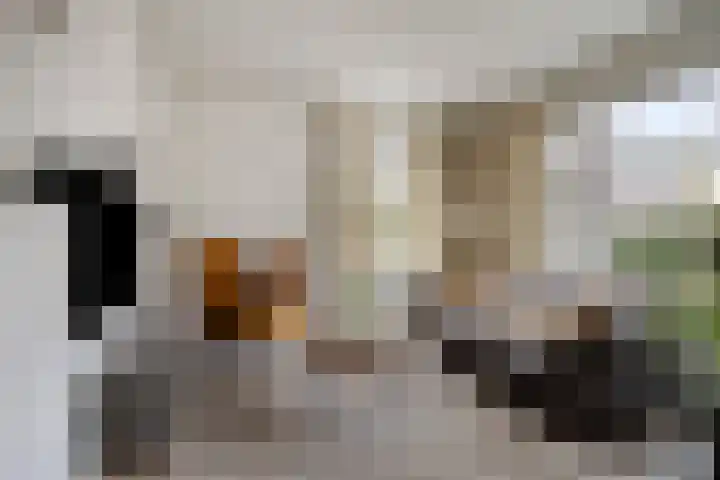 Krabbelaar 16 Uden thumbnail 11
