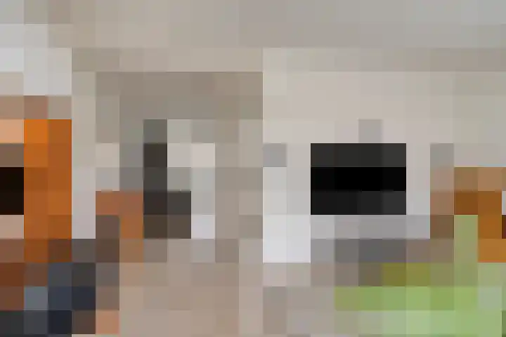 Krabbelaar 16 Uden thumbnail 14