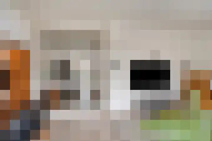 Krabbelaar 16 Uden thumbnail 15