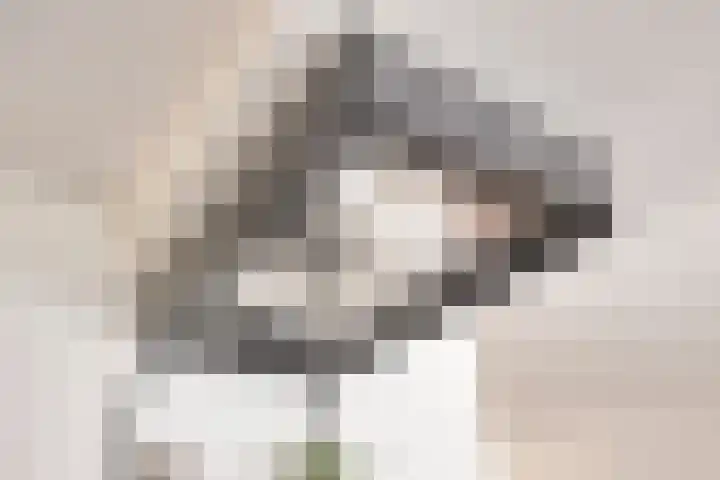 Krabbelaar 16 Uden thumbnail 20
