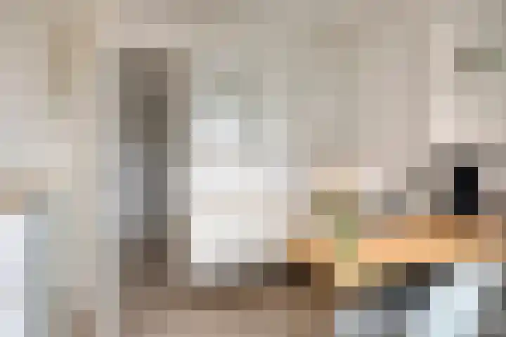 Krabbelaar 16 Uden thumbnail 26