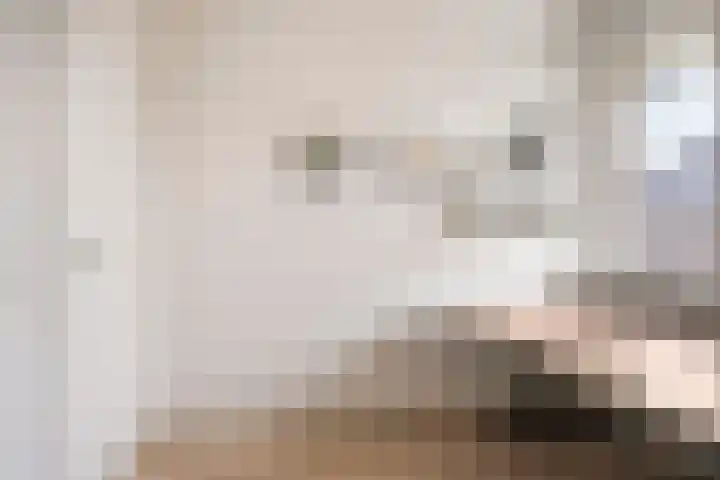 Krabbelaar 16 Uden thumbnail 37
