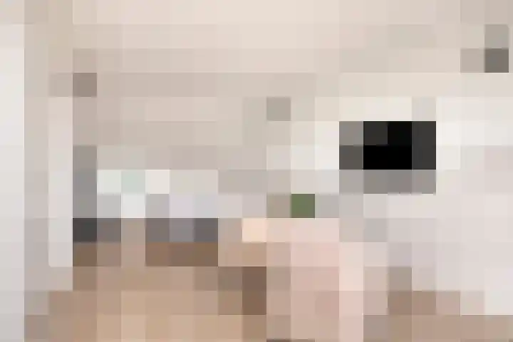 Krabbelaar 16 Uden thumbnail 39