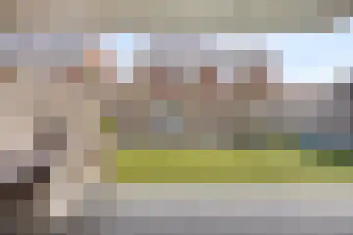 Krabbelaar 16 Uden thumbnail 4