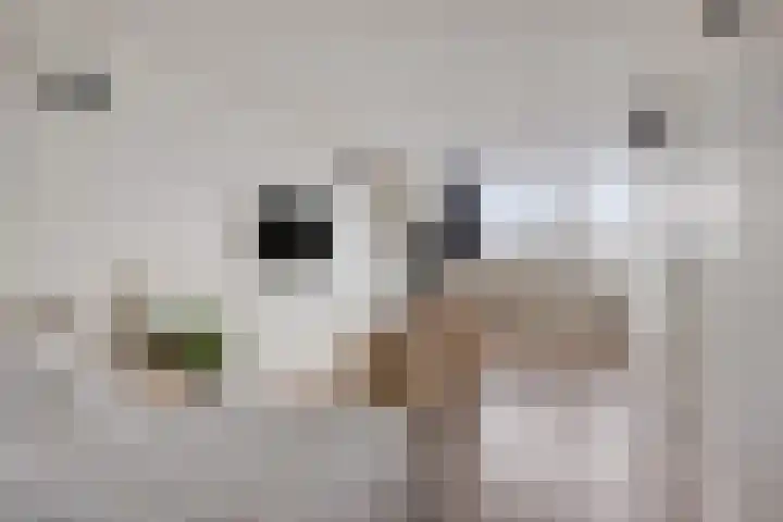 Krabbelaar 16 Uden thumbnail 41