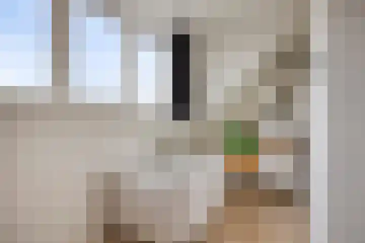 Krabbelaar 16 Uden thumbnail 44