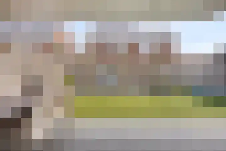 Krabbelaar 16 Uden thumbnail 48