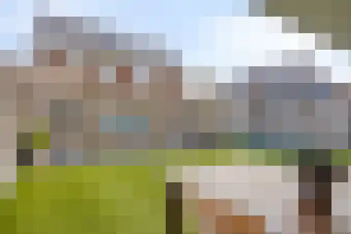 Krabbelaar 16 Uden thumbnail 49