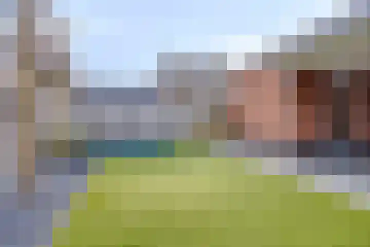 Krabbelaar 16 Uden thumbnail 50