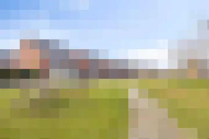 Krabbelaar 16 Uden thumbnail 52