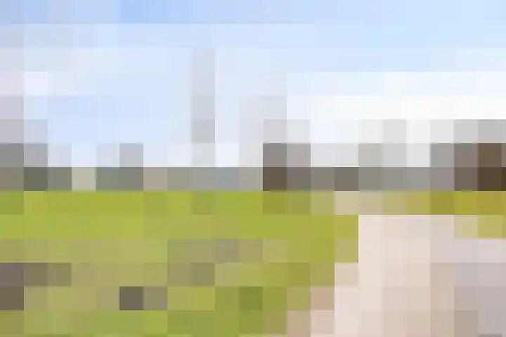 Krabbelaar 16 Uden thumbnail 53