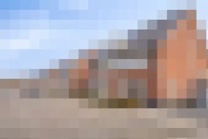 Krabbelaar 16 Uden thumbnail 55