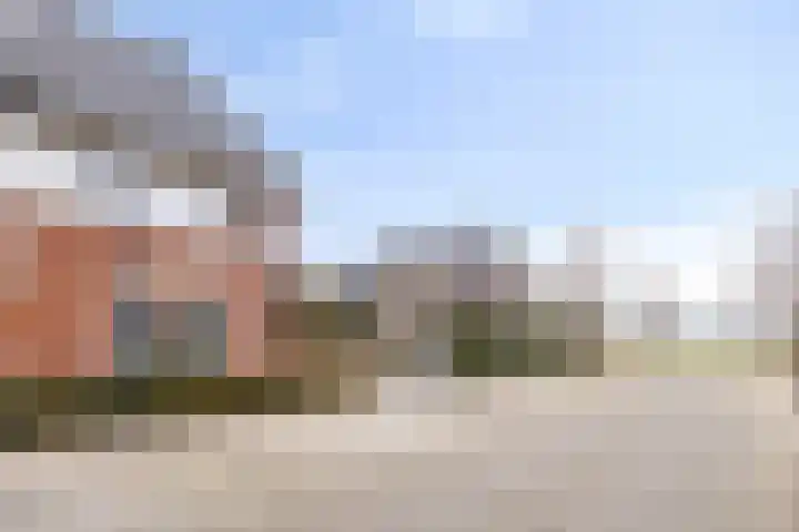 Krabbelaar 16 Uden thumbnail 56