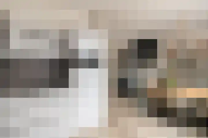 Krabbescheer 5 Kampen thumbnail 12
