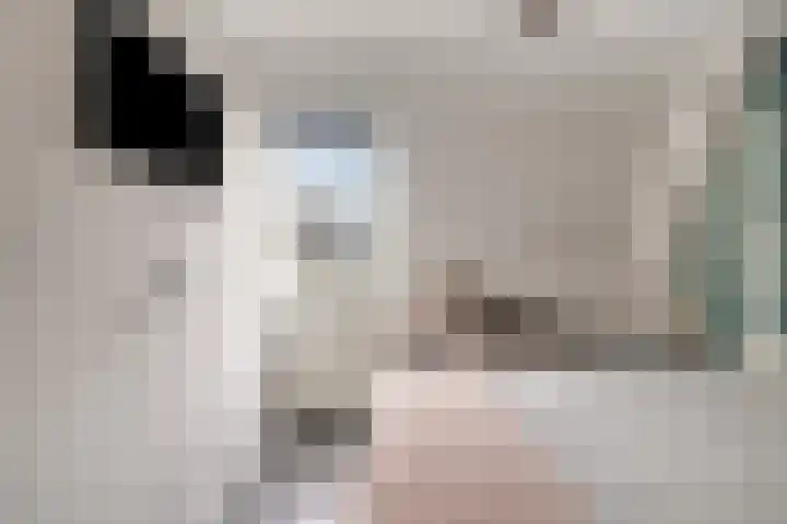 Krabbescheer 5 Kampen thumbnail 16