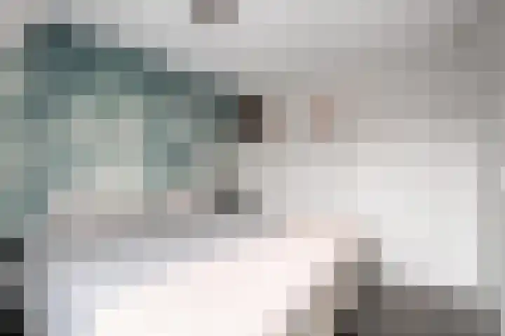 Krabbescheer 5 Kampen thumbnail 17