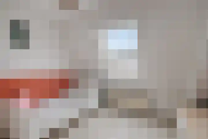 Krabbescheer 5 Kampen thumbnail 26
