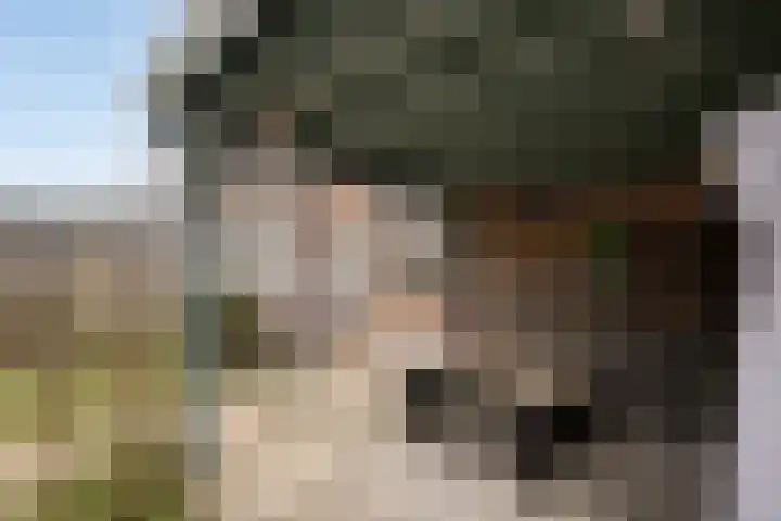 Krabbescheer 5 Kampen thumbnail 31