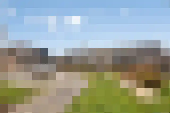 Krabbescheer 5 Kampen thumbnail 36