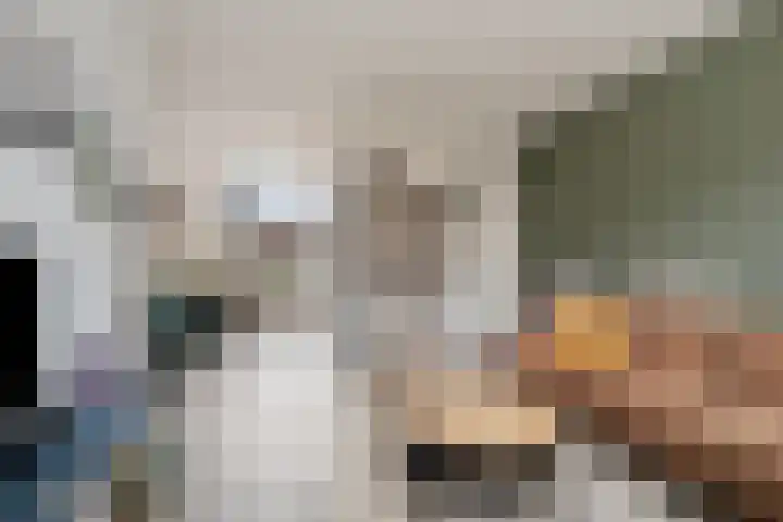 Krabbescheer 5 Kampen thumbnail 9