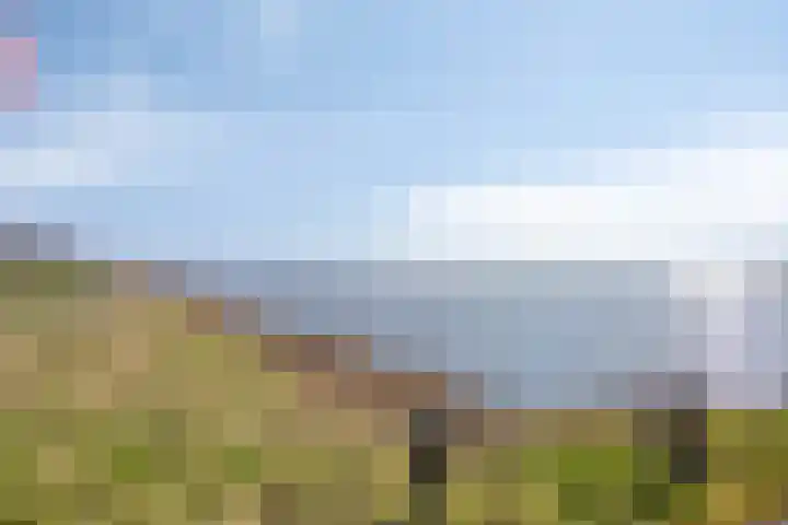 Krachtveld 14 Almere thumbnail 64