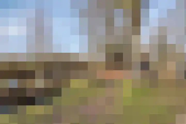Krachtveld 14 Almere thumbnail 65