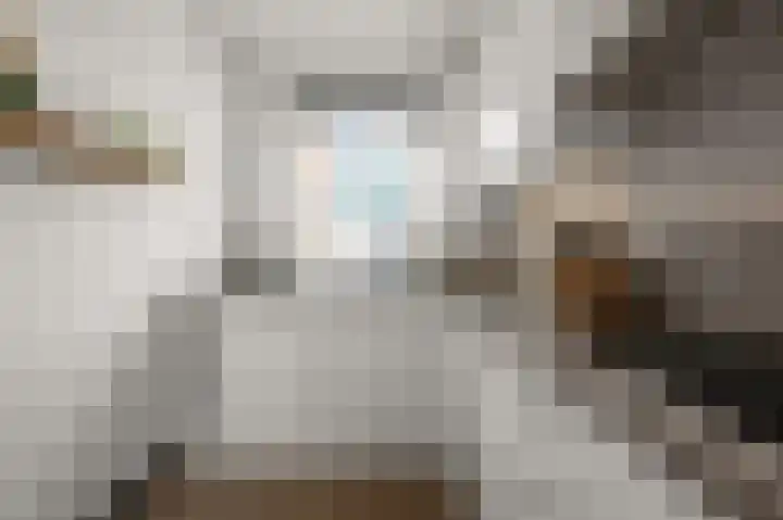 Kralingen 134 Assendelft thumbnail 10