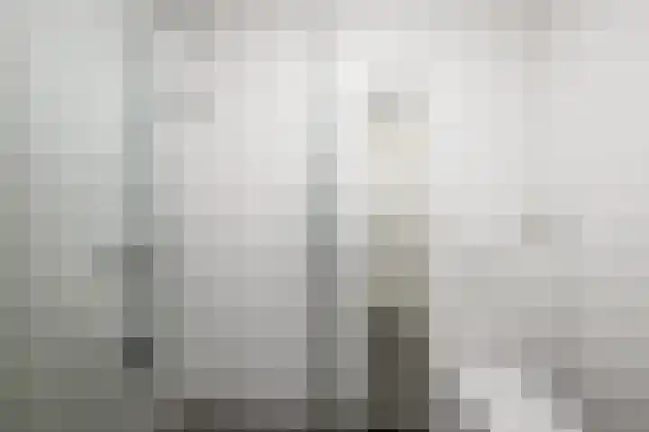 Kralingen 134 Assendelft thumbnail 19
