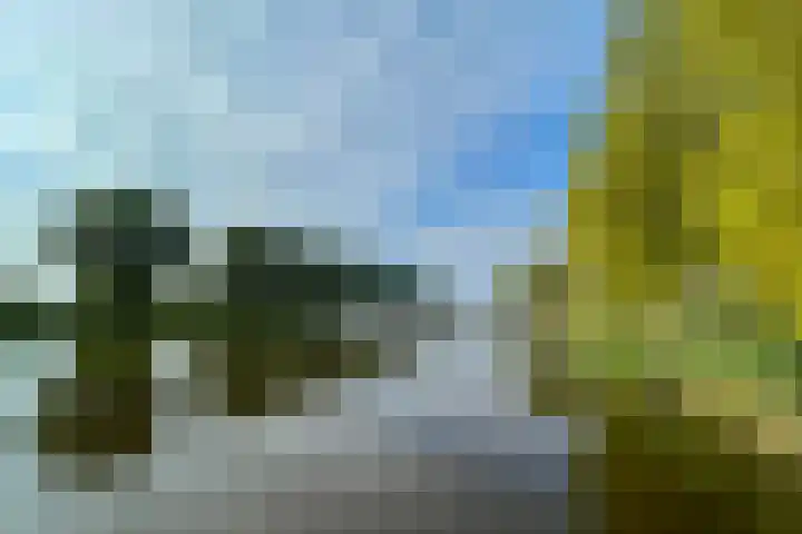 Kralingen 134 Assendelft thumbnail 28