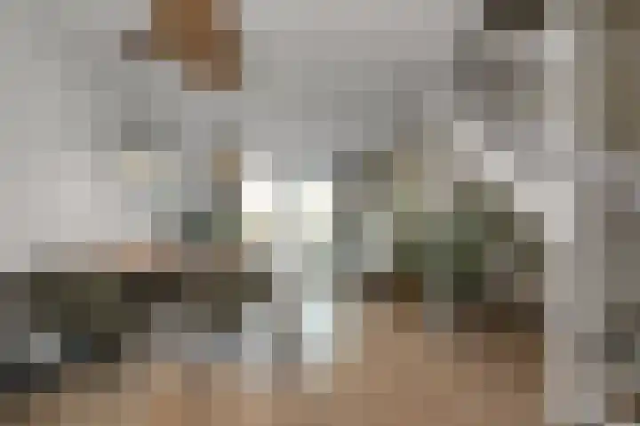 Kralingen 134 Assendelft thumbnail 4
