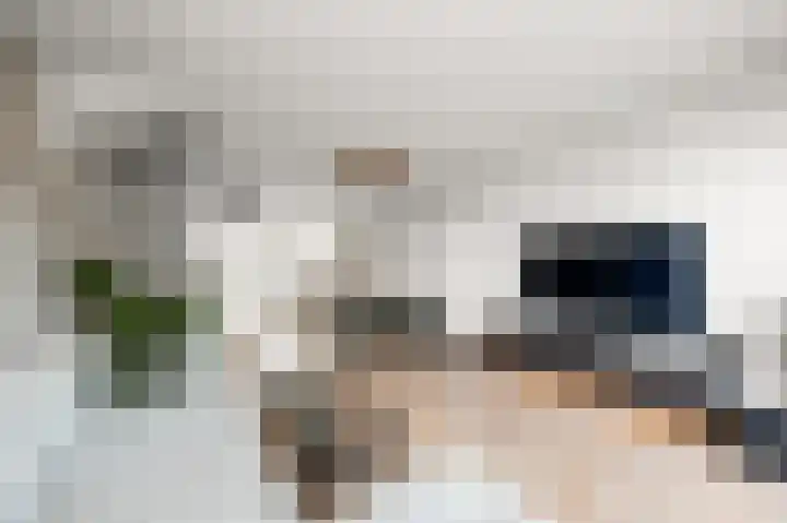 Kralingen 134 Assendelft thumbnail 6