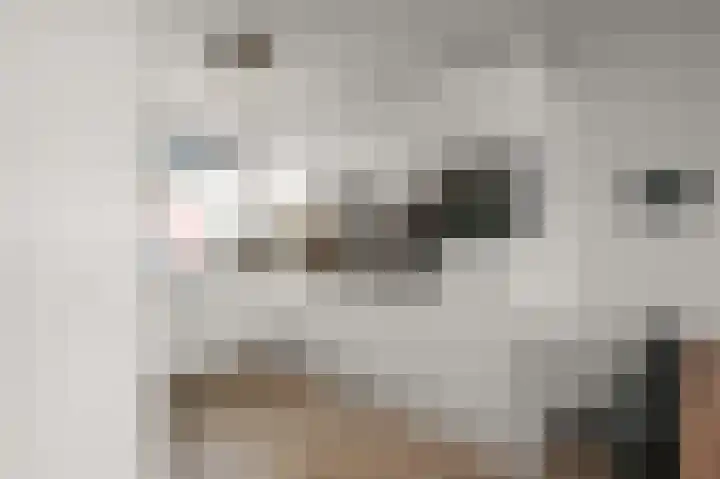 Kralingen 134 Assendelft thumbnail 9