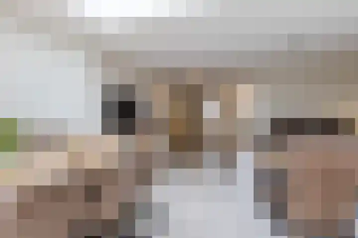 Kralingenstraat 8 Tilburg thumbnail 10