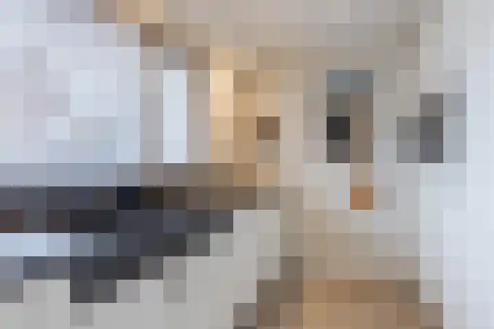 Kralingenstraat 8 Tilburg thumbnail 14