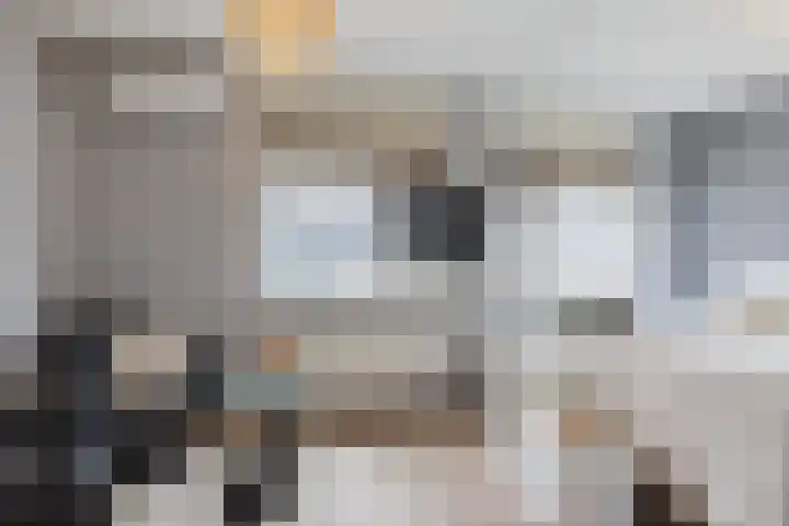 Kralingenstraat 8 Tilburg thumbnail 16