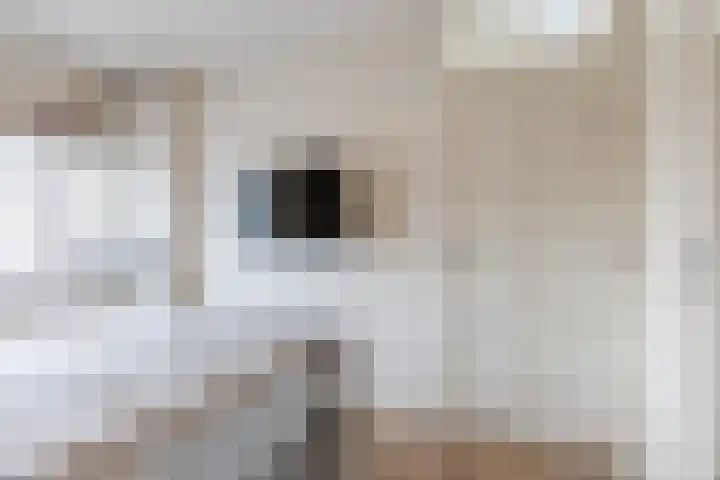 Kralingenstraat 8 Tilburg thumbnail 20