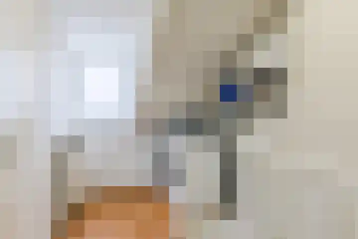 Kralingenstraat 8 Tilburg thumbnail 28