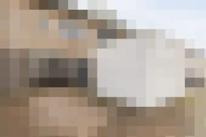 Kralingenstraat 8 Tilburg thumbnail 33