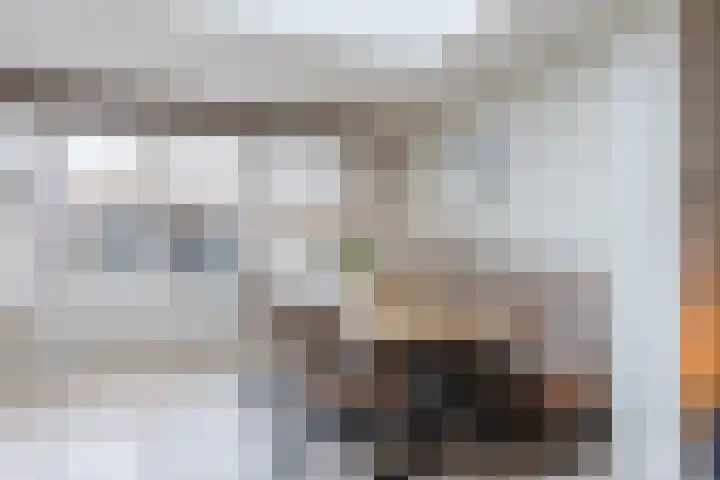 Kralingenstraat 8 Tilburg thumbnail 8
