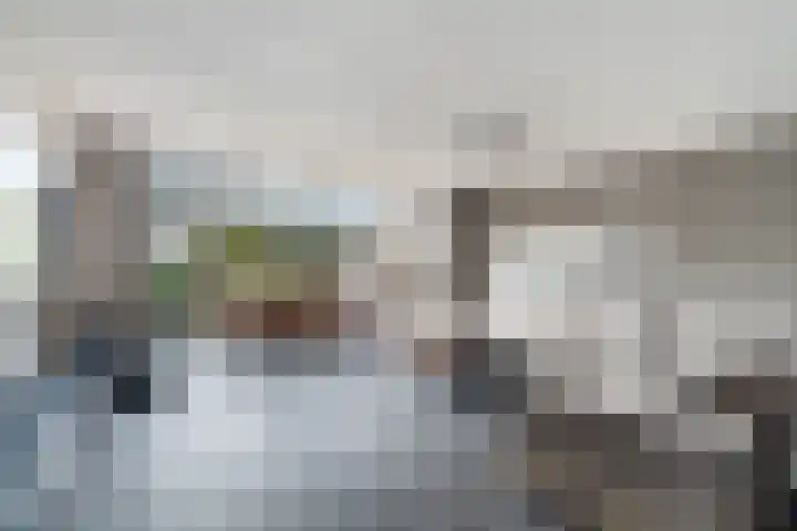 Kramerplan 29 Zoetermeer thumbnail 10