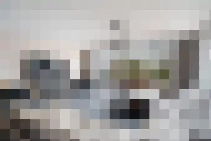 Kramerplan 29 Zoetermeer foto 2