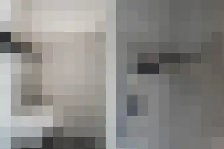 Kramerplan 29 Zoetermeer thumbnail 31