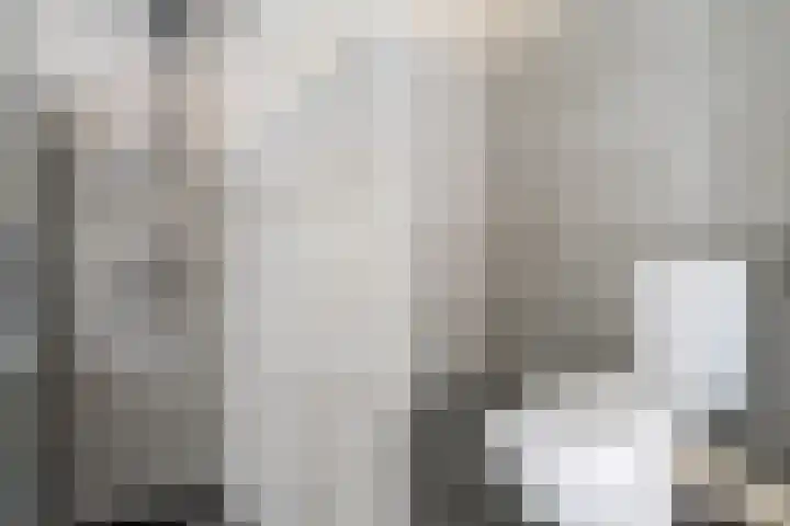 Kramerplan 29 Zoetermeer thumbnail 36