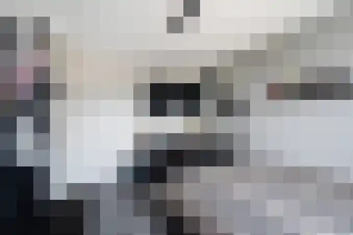 Kramerplan 29 Zoetermeer thumbnail 39