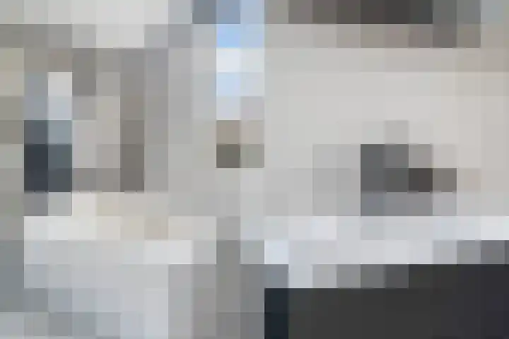 Kramerplan 29 Zoetermeer thumbnail 46