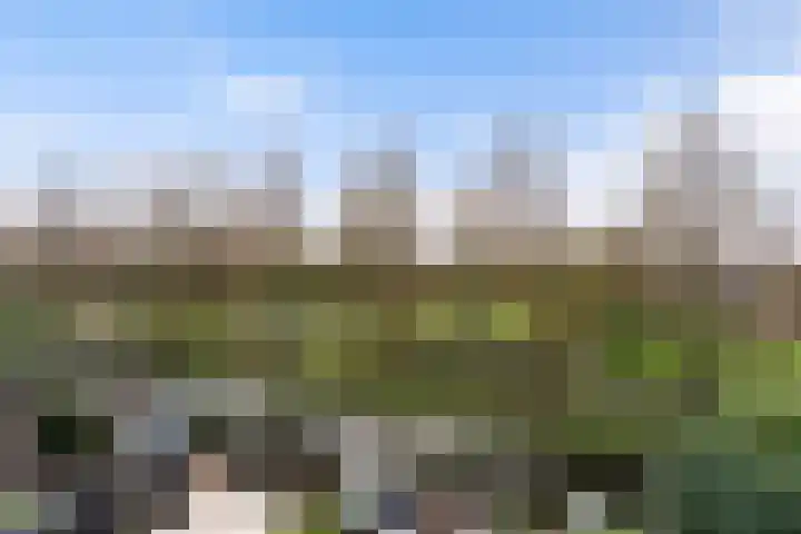 Kramerplan 29 Zoetermeer thumbnail 48