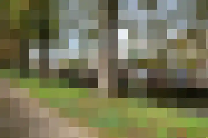 Kramerplan 29 Zoetermeer thumbnail 51