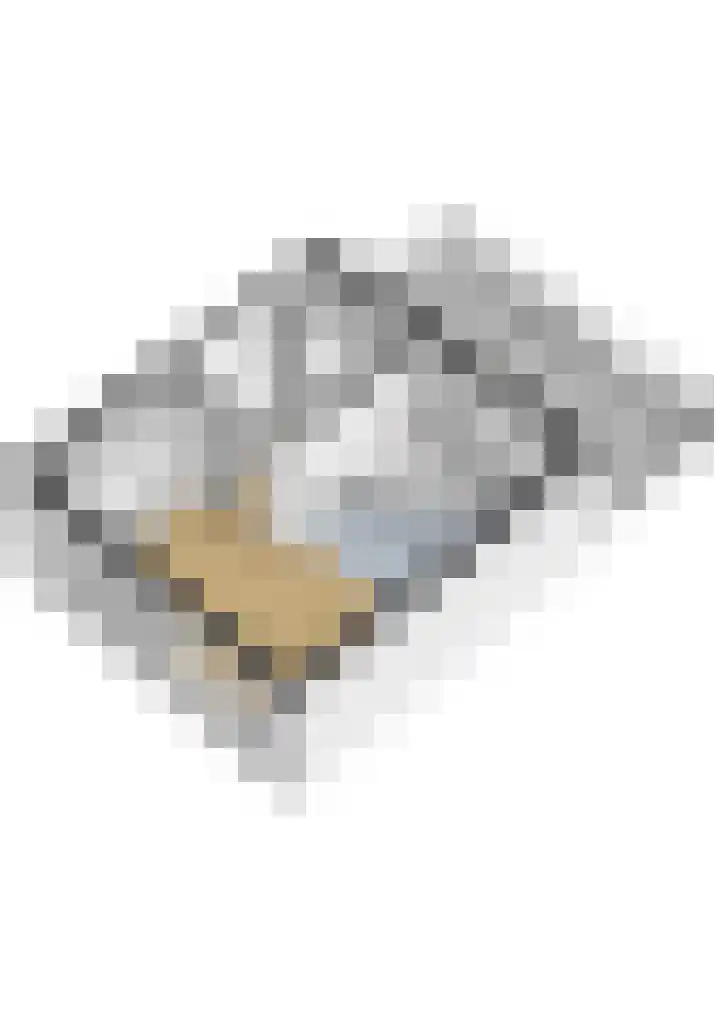 Kramerplan 29 Zoetermeer thumbnail 60